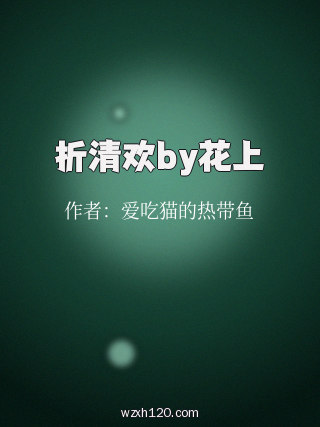 折清欢by花上