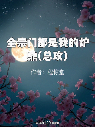 全宗门都是我的炉鼎(总攻)