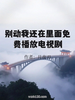 别动我还在里面免费播放电视剧