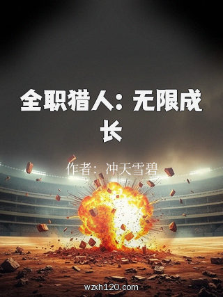 全职猎人:无限成长