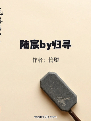 陆宸by归寻