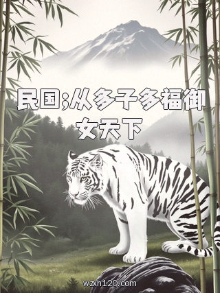 民国;从多子多福御女天下