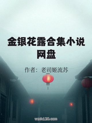 金银花露合集小说网盘