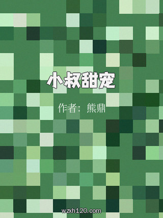 小叔甜宠