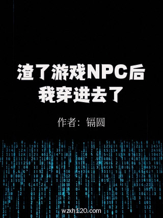 渣了游戏NPC后我穿进去了