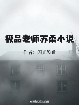 极品老师苏柔小说