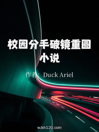 校园分手破镜重圆小说