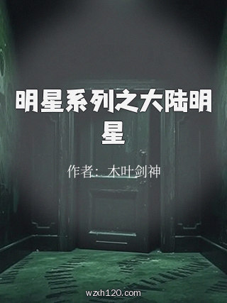 明星系列之大陆明星