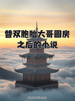 替双胞胎大哥圆房之后的小说
