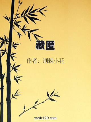 藏匿