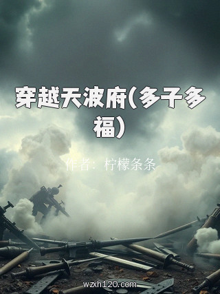 穿越天波府(多子多福)