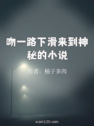 吻一路下滑来到神秘的小说
