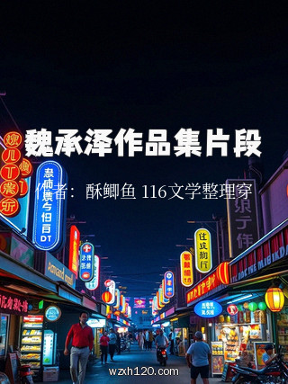 魏承泽作品集片段