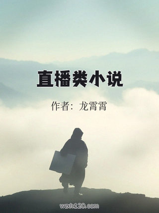 直播类小说