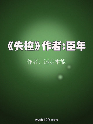 《失控》作者:臣年