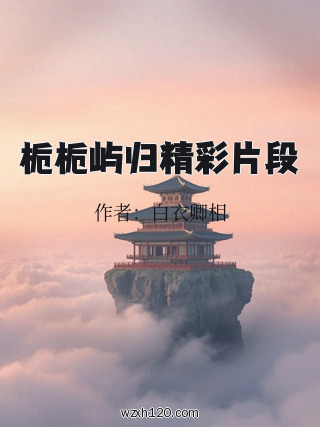 栀栀屿归精彩片段