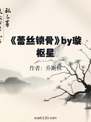 《蕾丝锁骨》by璇枢星