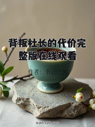 背叛社长的代价完整版在线观看