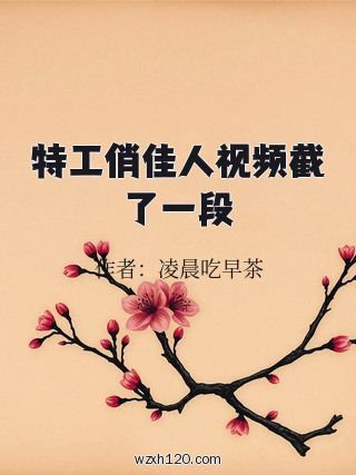 特工俏佳人视频截了一段
