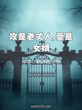 攻是老丈人,受是女婿