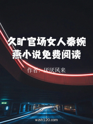 久旷官场女人秦婉燕小说免费阅读