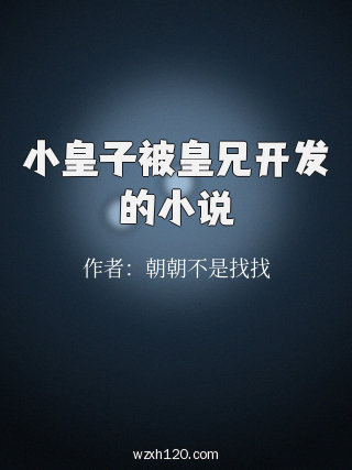 小皇子被皇兄开发的小说
