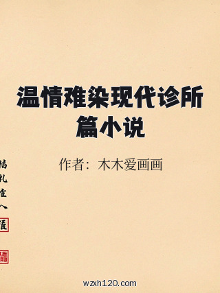 温情难染现代诊所篇小说