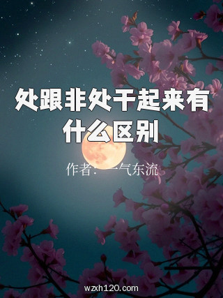 处跟非处干起来有什么区别
