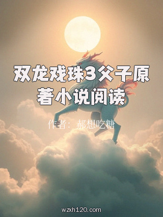 双龙戏珠3父子原著小说阅读