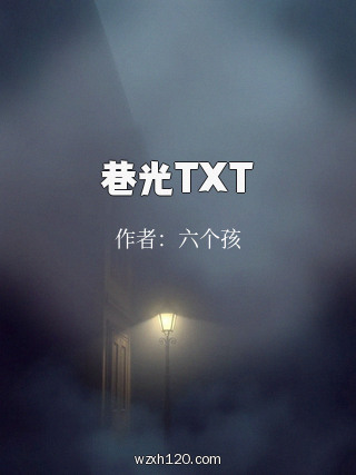 巷光TXT