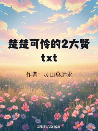 楚楚可怜的2大贤txt