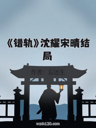 《错轨》沈耀宋晴结局