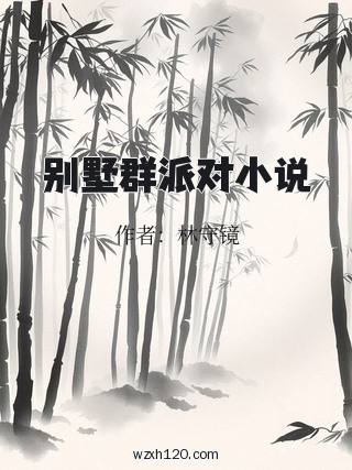 别墅群派对小说