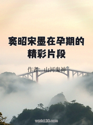 窦昭宋墨在孕期的精彩片段