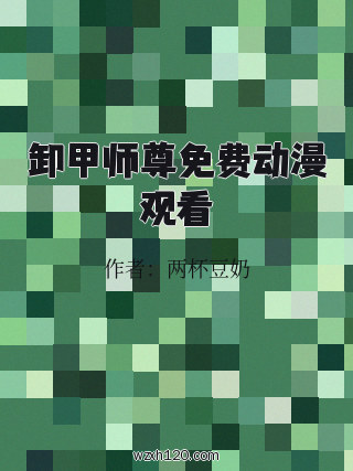 卸甲师尊免费动漫观看