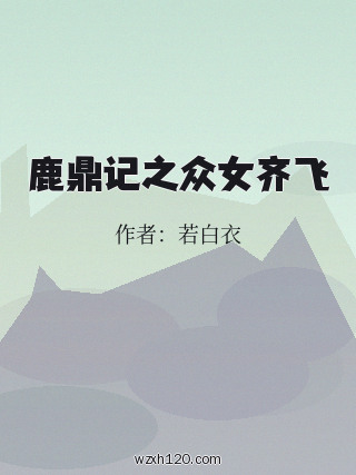 鹿鼎记之众女齐飞