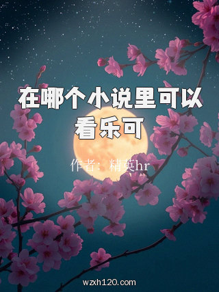 在哪个小说里可以看乐可
