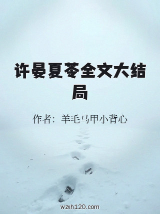 许晏夏苓全文大结局
