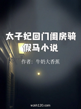 太子妃回门闺房骑假马小说