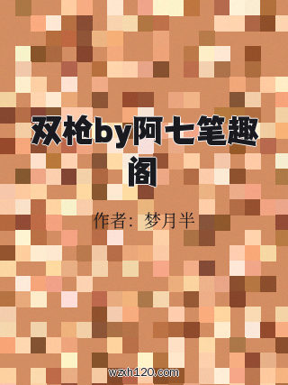 双枪by阿七笔趣阁