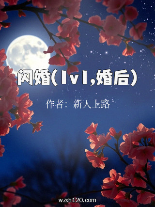 闪婚(1v1,婚后)