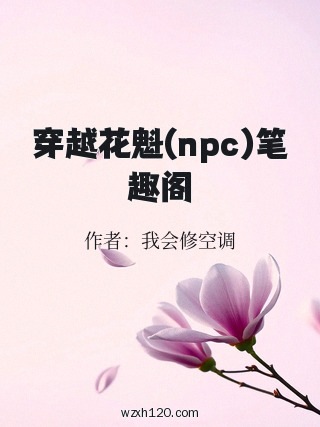 穿越花魁(npc)笔趣阁