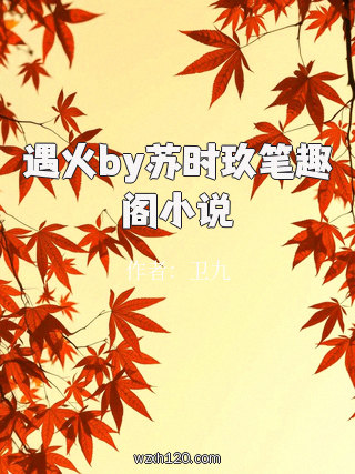 遇火by苏时玖笔趣阁小说