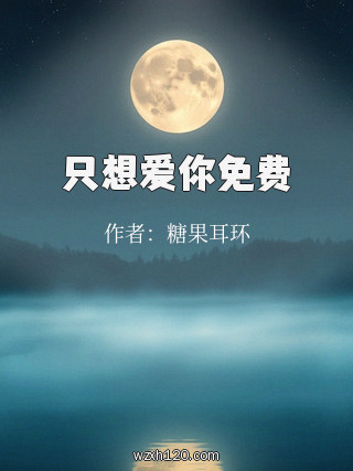 只想爱你免费