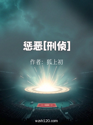 惩恶[刑侦]