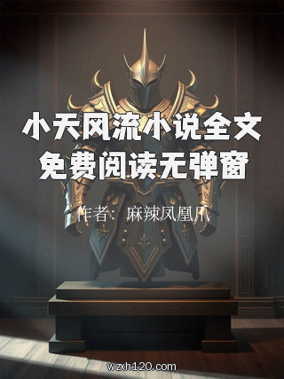 小天风流小说全文免费阅读无弹窗