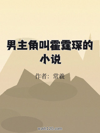 男主角叫霍霆琛的小说