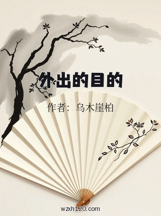 外出的目的