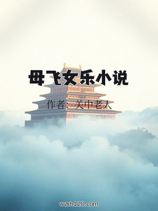 母飞女乐小说
