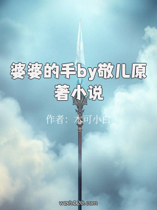 婆婆的手by敬儿原著小说
